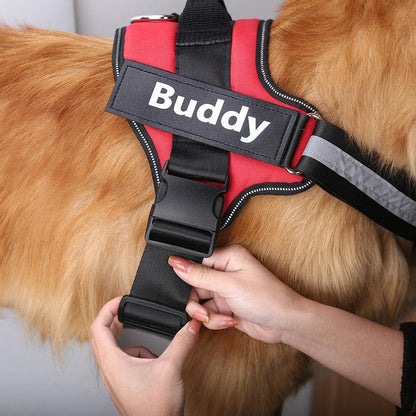 EasyHarness® - Customized No Pull Dog Harness