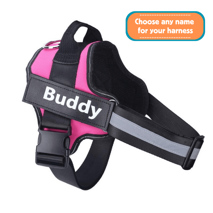 EasyHarness® - Customized No Pull Dog Harness