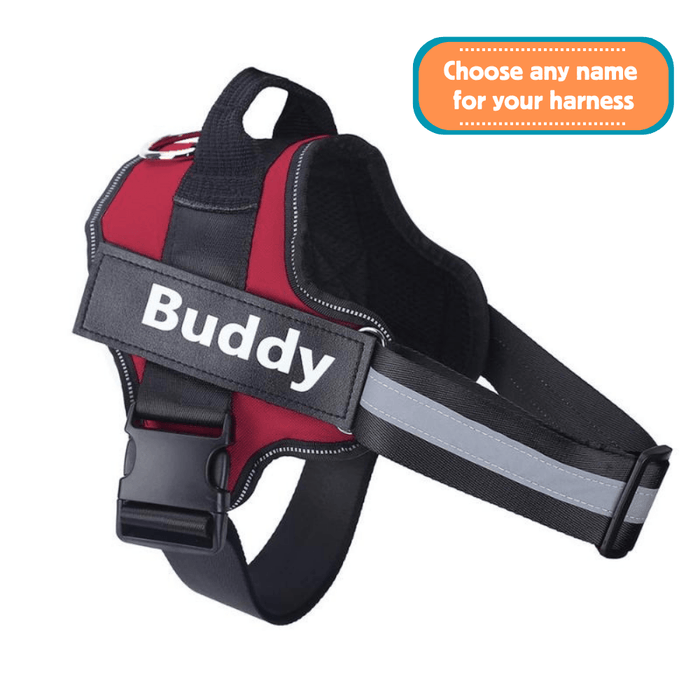 EasyHarness® - Customized No Pull Dog Harness