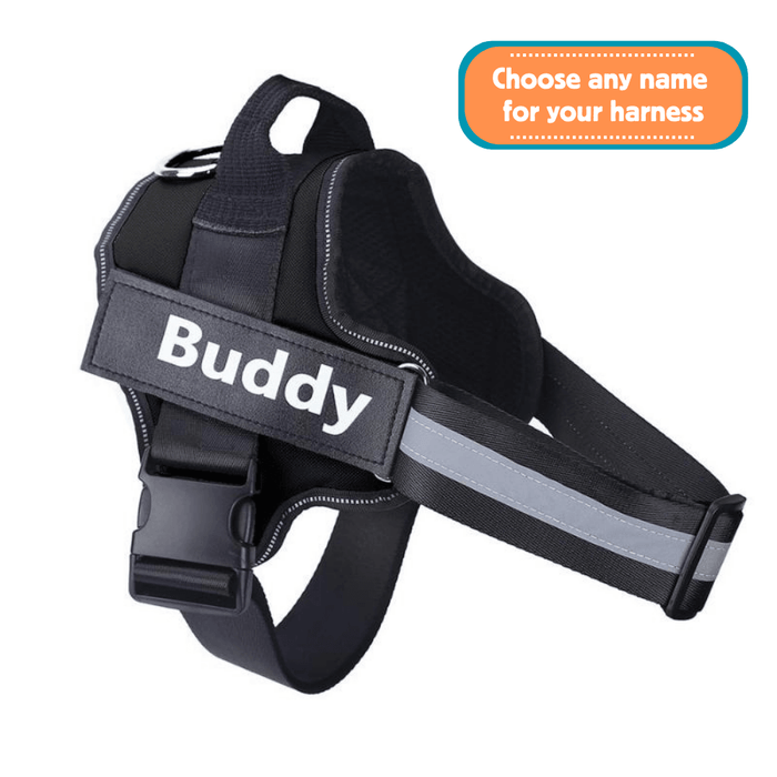 EasyHarness® - Customized No Pull Dog Harness