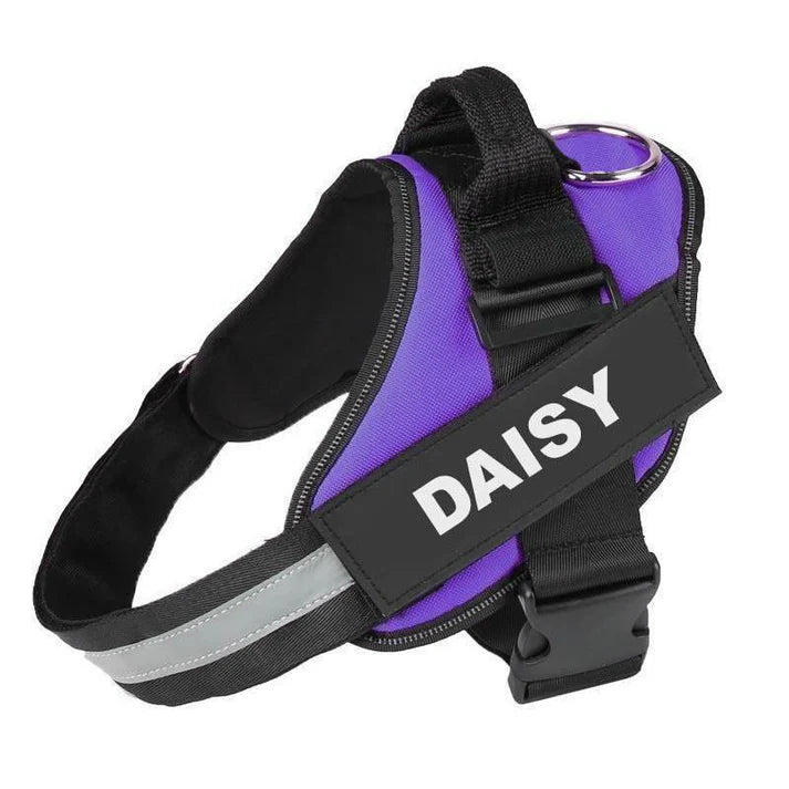 EasyHarness® - Customized No Pull Dog Harness